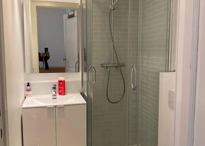 דירה 1 Bedroom W Kitchen And Bathroom In Trendy St Gilles