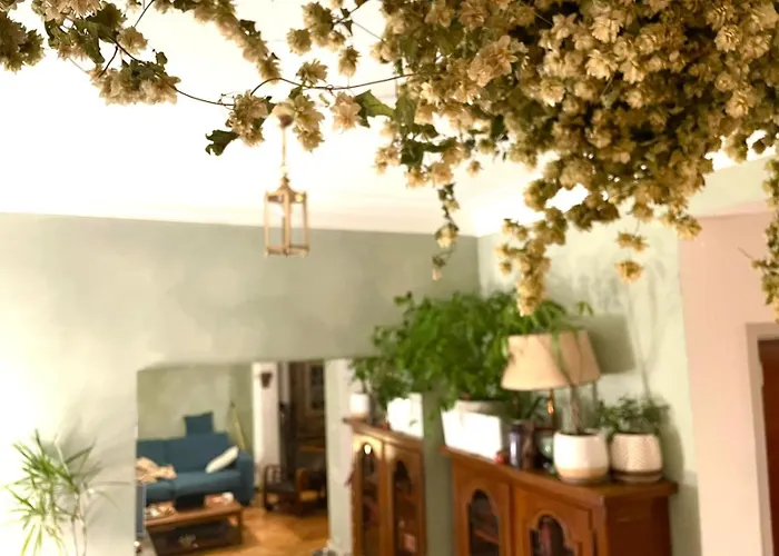 Spacious In Apartamento Bruselas