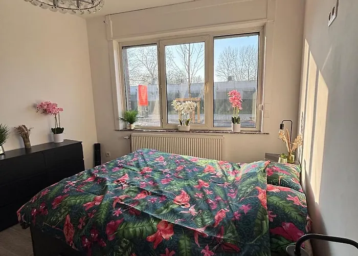 Modern In Brussels, Ground Floor 布鲁塞尔