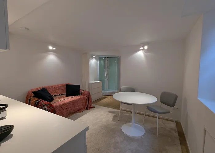 Cozy Nest Basement St Gilles דירה *