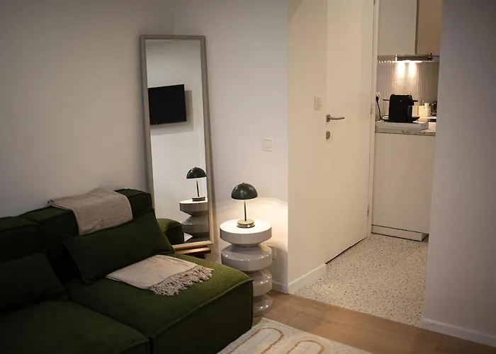 Avec Mezzanine Et Terasse Appartement Brussel