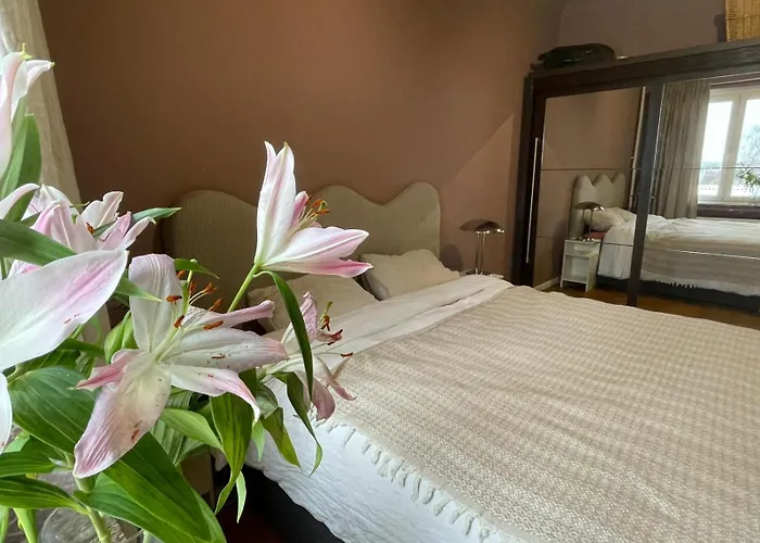 Spacious In * Bruselas