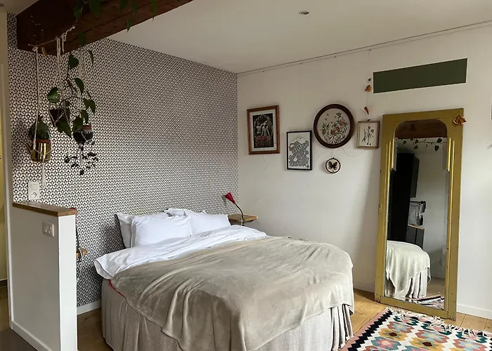 Cozy Studio-city Center דירה