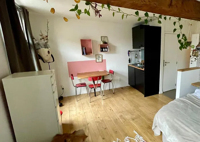 Cozy Studio-city Center Lejlighed *