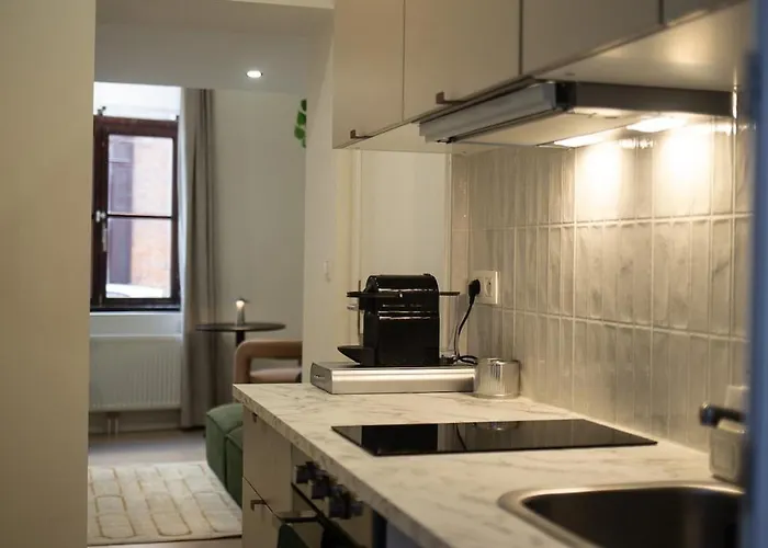 Apartment Avec Mezzanine Et Terasse *