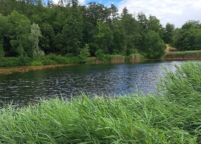 Bright And Cosy In * Bruxelles