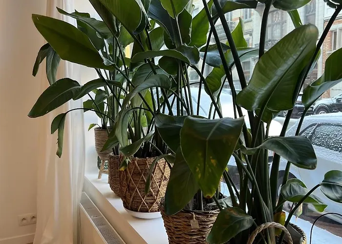 Modern & Elegant Near Montgomery Appartamento *