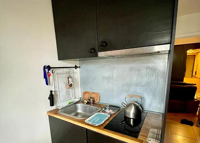 דירה Cozy Studio-city Center