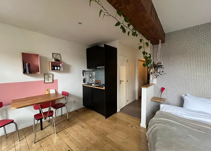 Cozy Studio-city Center