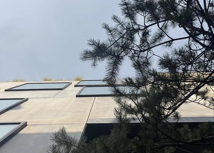 Teddy Picker * Brüsszel