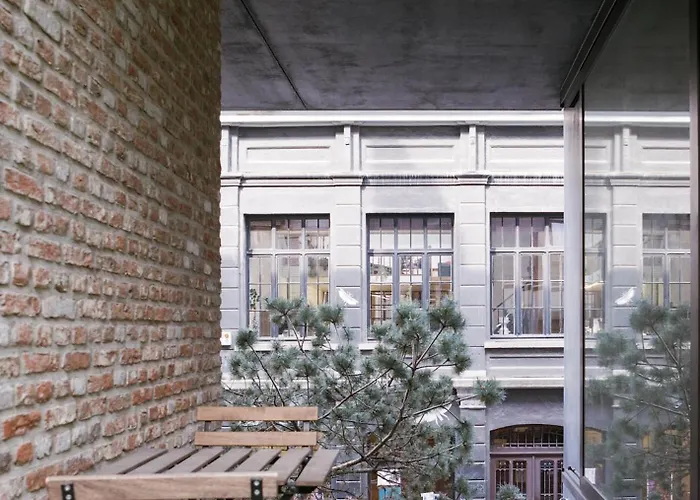 Teddy Picker Проживание в семье *