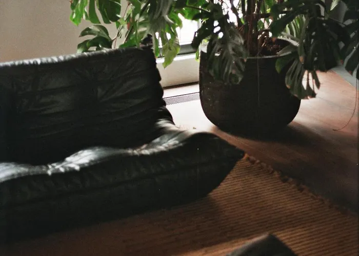 Teddy Picker Проживание в семье Брюссель