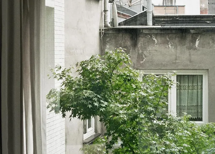 Teddy Picker Brüsszel