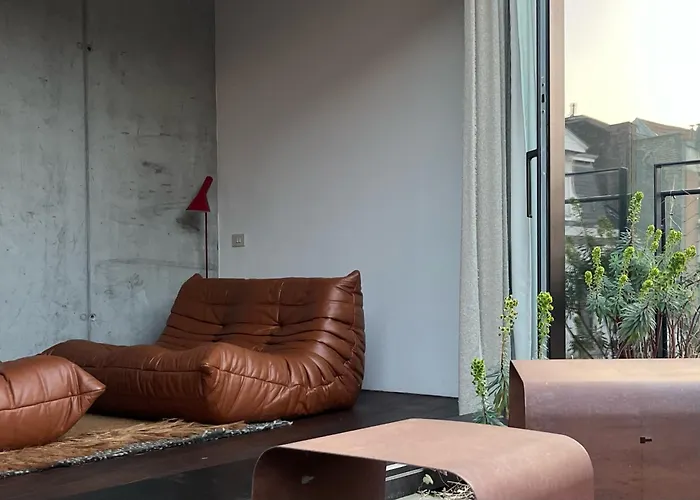 Teddy Picker * Brüsszel