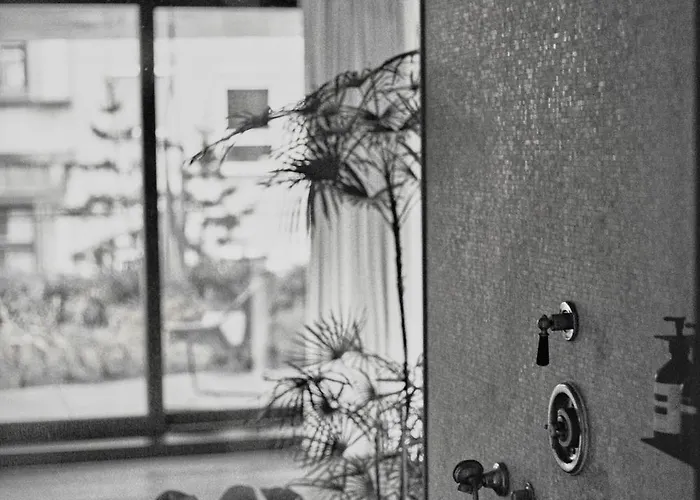 Teddy Picker Homestay szállás Brüsszel