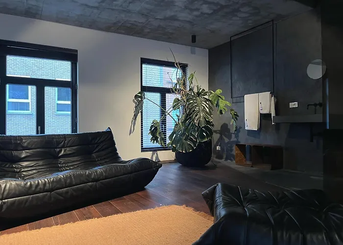 Teddy Picker Brüsszel