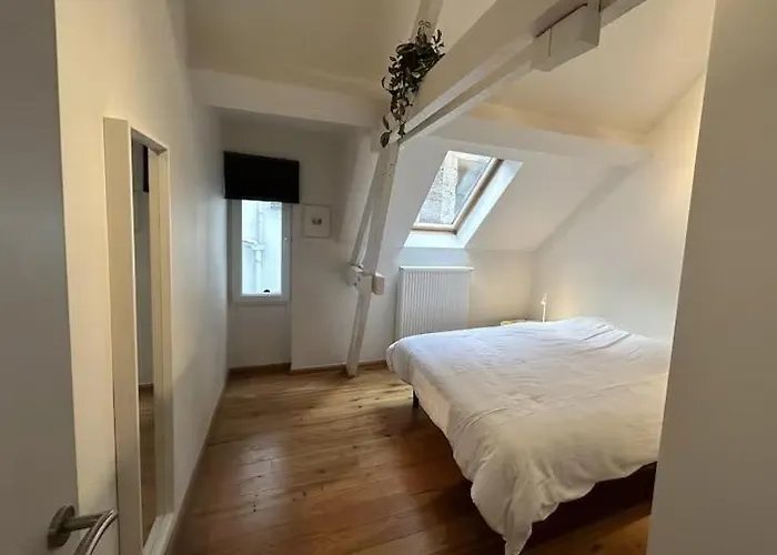 Duplex Loft アパート ブリュッセル