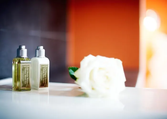 Sablon 住宿加早餐酒店 布鲁塞尔