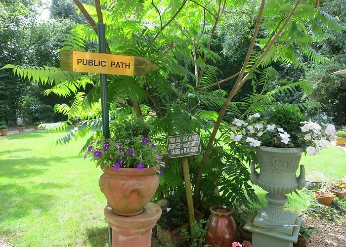 Bed & Breakfast Les Taillis