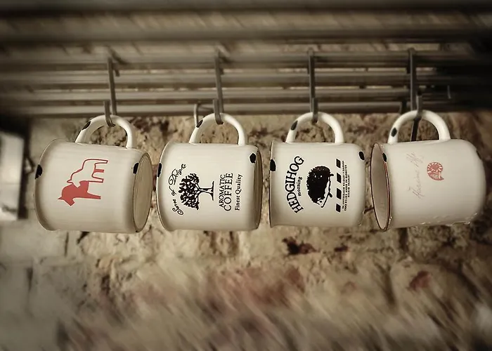 Oda ve Kahvaltı B'kanal Brüksel