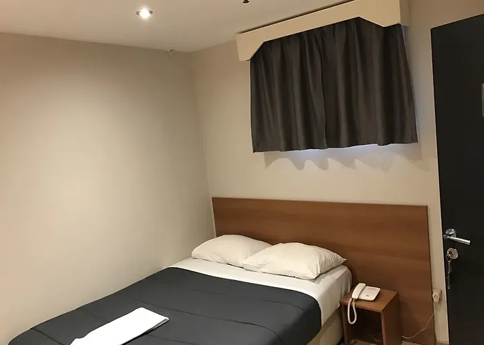 酒店 皇家酒店 *