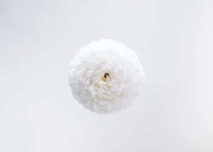 Bed & Breakfast 36 3*