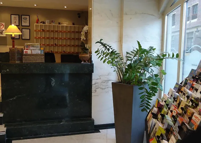 Numa I Scoop & 布鲁塞尔