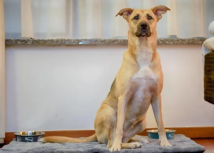 Numa Royal Galleries 4* Brussels