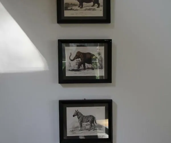 Casa Terlinden Brussel