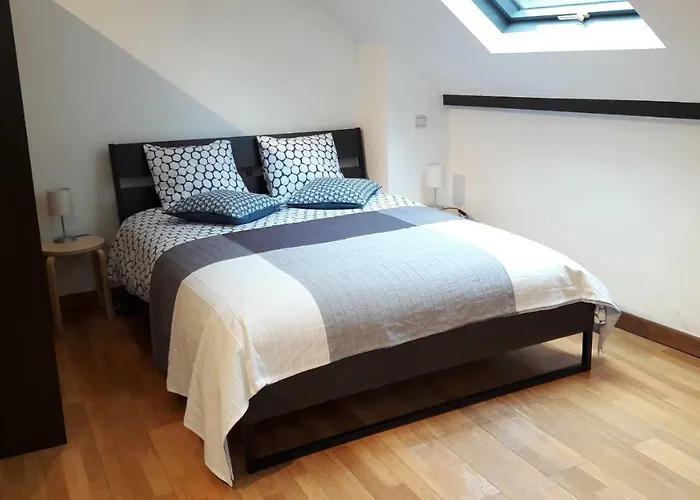 Cep Maisonnette * Brusel