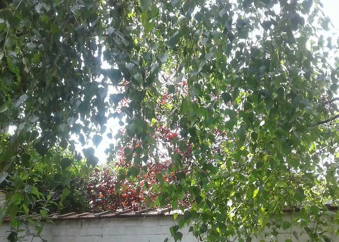 Appartamento Basilique Corner Bruxelles