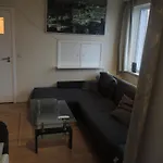 Apartamento Vleurgat *