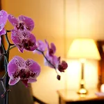Hotel Le Plaza Bruxelles