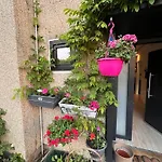 Town House With Garden - 1 With Shared Bathroom Homestay Brussels
