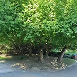 Chinese Pavilion Park - Magnificent 브뤼셀
