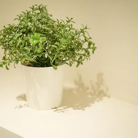 Spacious Modern Appartments In The Heart Of Bruxelles