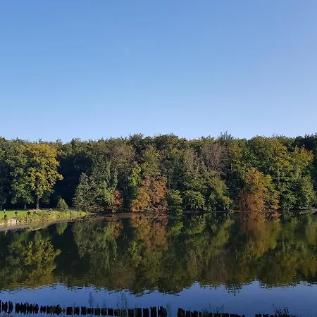 Maison Des Fleurs 3*