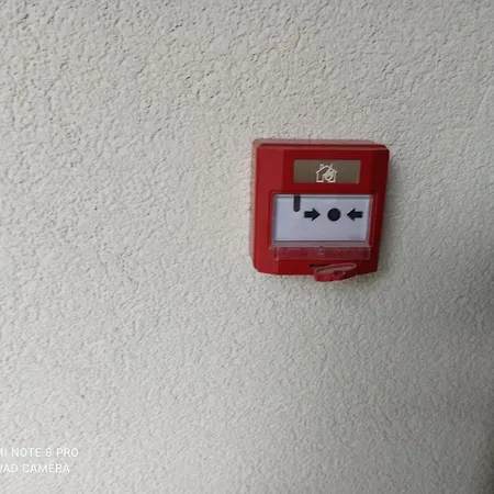 Apartment Wolves In Belgium *