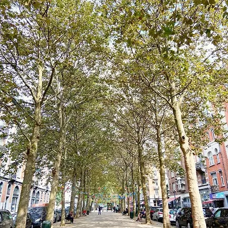 Apartment Quartier Des Quais Dansaert Brussels