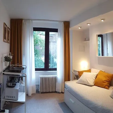 Just-Renovated Small Studio