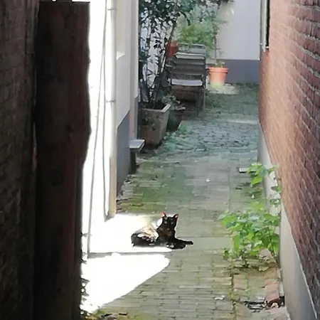 Petite Impasse Privée Impasse Poils