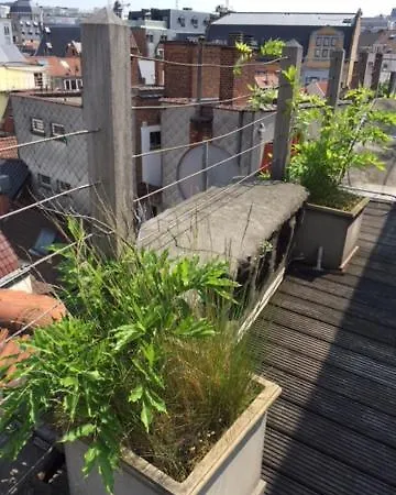 Duplex Dernier Etage Avec Terasse A Deux Pas De La Grand Place דירה *