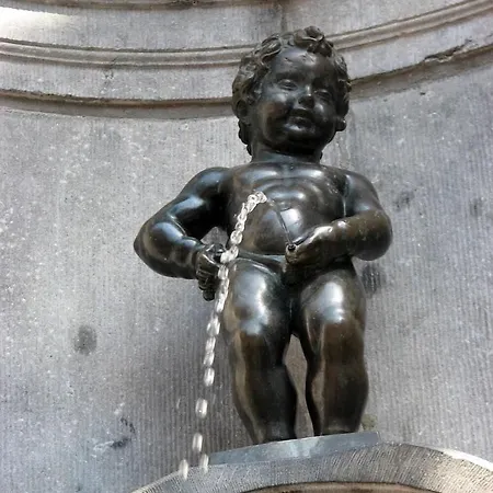 The Usual Bruxelles