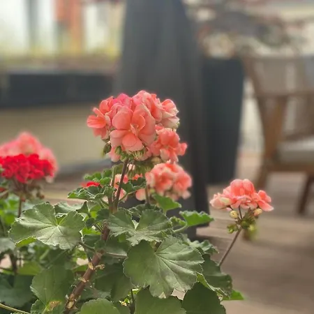 Moderne Centre De Bryssel