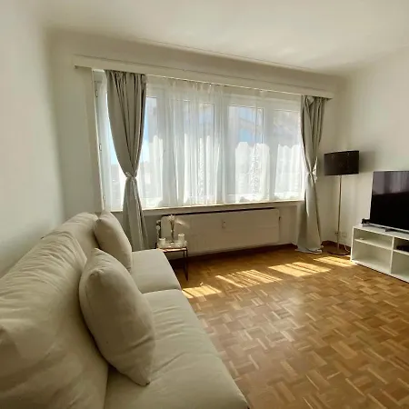 Cinquantenaire Bryssel