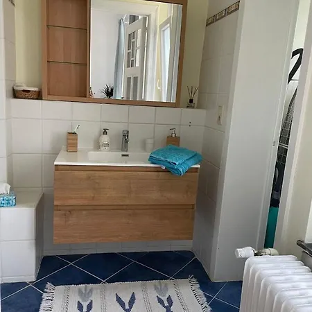 De Charme Dans Maison De Maitre Bruxelloise בריסל