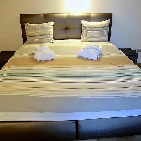 布鲁塞尔罗伊尔公寓 *