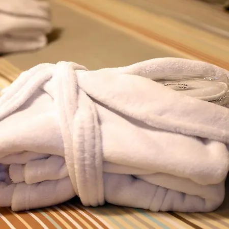 布鲁塞尔罗伊尔公寓