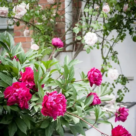 Moensberg Bed & Breakfast Linkebeek