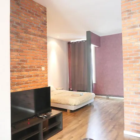 Loft Atypique Avec Terrasse Bruxelles